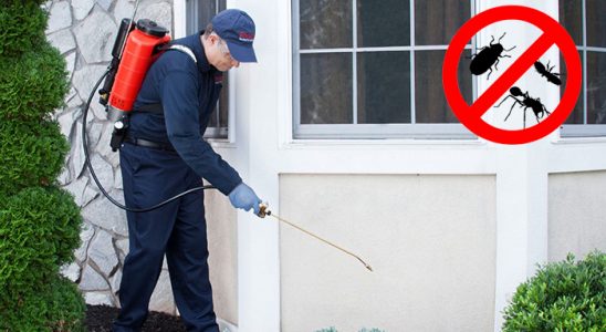 Evka 6 Fare İlaçlama böcek ilaçlama ve haşere kontrolü — ilaclama-tr.com